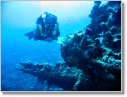 Crociera subacquea in Mar Rosso, 2006