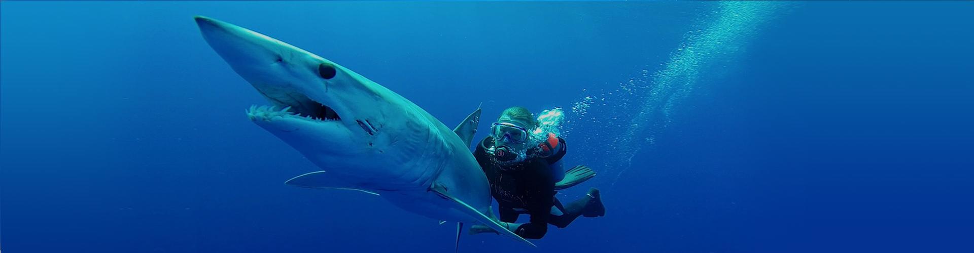 Corsi sub 2000 Sub Padova