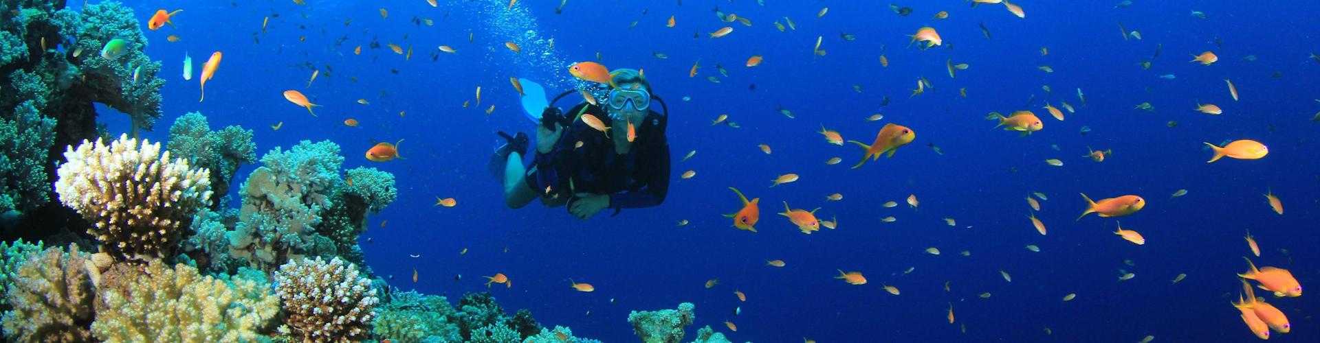 Corsi sub 2000 Sub Padova