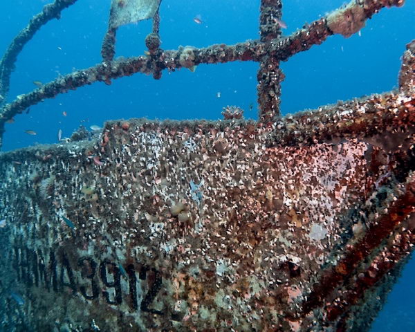 Il relitto del Delsey (ex Roma), nel Lago di Garda