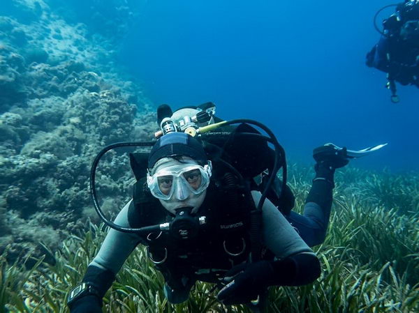 Mediterraneo da Scoprire: immersione e avventura all'Isola d'Elba