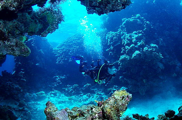 Nel profondo sud del Mar Rosso: la magia dei reef di St. John's