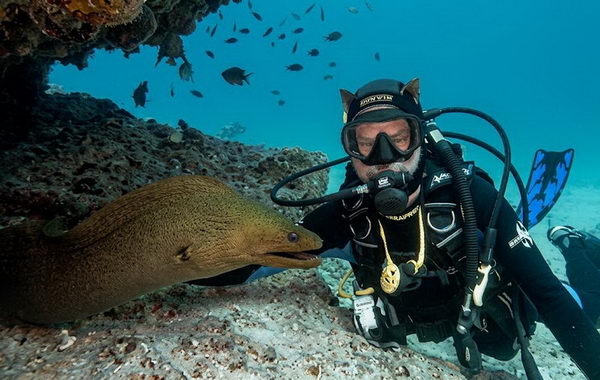 Cuba: la murena pi&ugrave; simpatica dei Caraibi