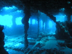 Il relitto del Baron Gautsch: un’immersione nella storia dell’Adriatico