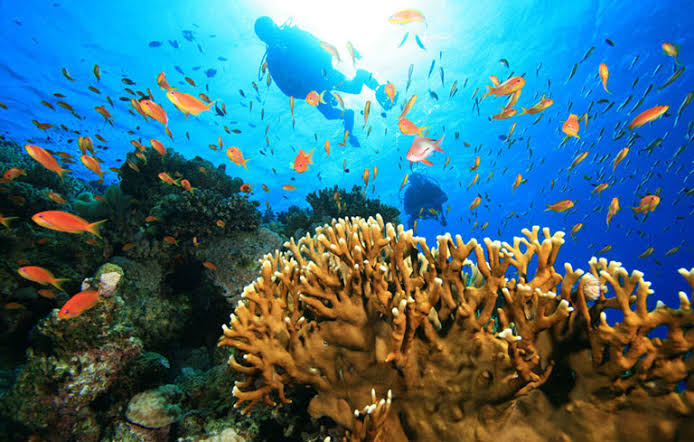 Mafia Marine Park